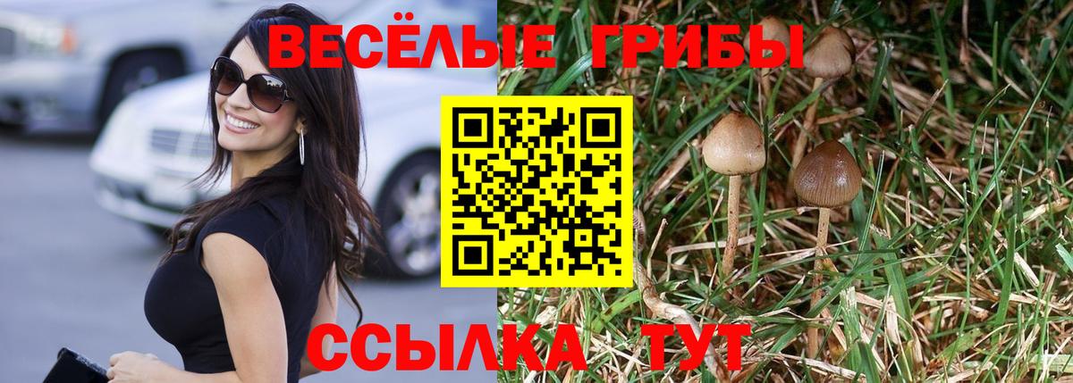 Галлюциногенные грибы Cubensis Архангельск